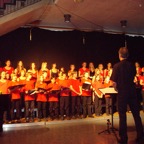 Kammerchor Sommerkonzert 09.JPG